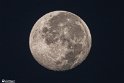 moonp-6