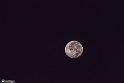 moonp-7