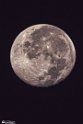 moonp-8