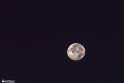 moonp-9