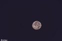 moonp (2)