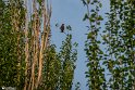 NoghabHajiAbad-11