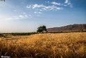 NoghabHajiAbad-13