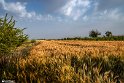 NoghabHajiAbad-16