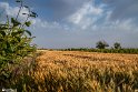 NoghabHajiAbad-17