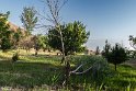 _HRR0011-11