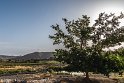 _HRR0018-18