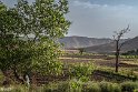 _HRR0025-25