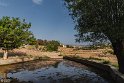 kareshk (4)