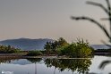 Talab-9