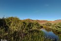 Borghehi (10)