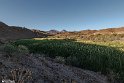 Borghehi (14)