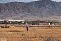 _HRR0025-16