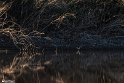 FarokhiDam-25