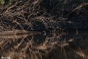 FarokhiDam-27