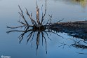 FarokhiDam-29