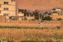 Qayen-12