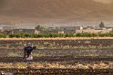 Qayen-18