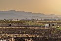 Qayen-19