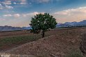 QayenEsfedan (37)