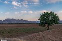 QayenEsfedan (38)