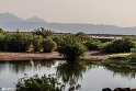 TallabAlam270305-31