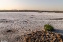 TallabAlam270305-7
