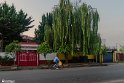 CityFeryr-7