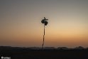 farkh-6