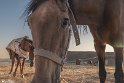 khor-14