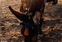 khor-21