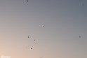 khor-5