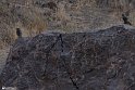 Moun280305-12