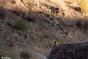 Moun280305-15