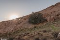 Moun280305-18