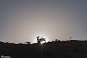 Moun280305-23