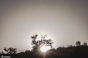 Moun280305-24