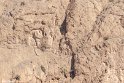Moun280305-35