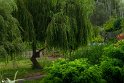ParkJazereh (13)