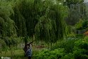 ParkJazereh (14)