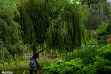 ParkJazereh (15)