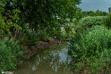 ParkJazereh (6)