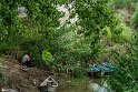 ParkJazereh (7)