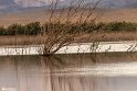 FarokhiDamp-20