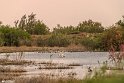 TalabAA-28