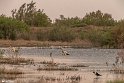 TalabAA-32