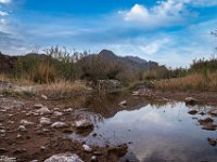 Passion-for-Growth10