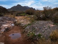 Passion-for-Growth11