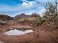 Passion-for-Growth12