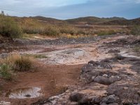 Passion-for-Growth13